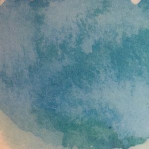 Meet your Posher, Betty